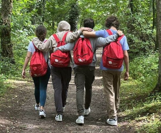 Curso de verano en irlanda